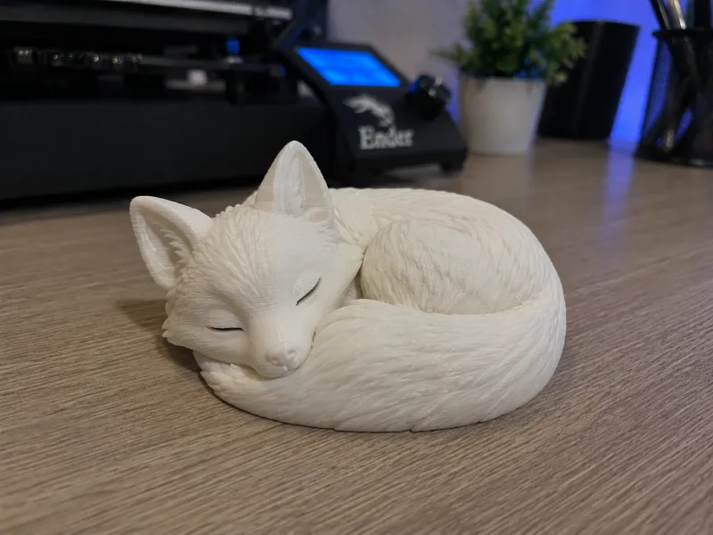 SleepingZorro