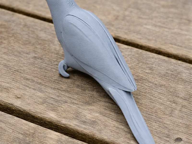 Blue-fronted Amazon