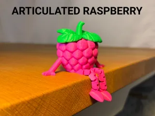 Articulated Raspberry Buddy
