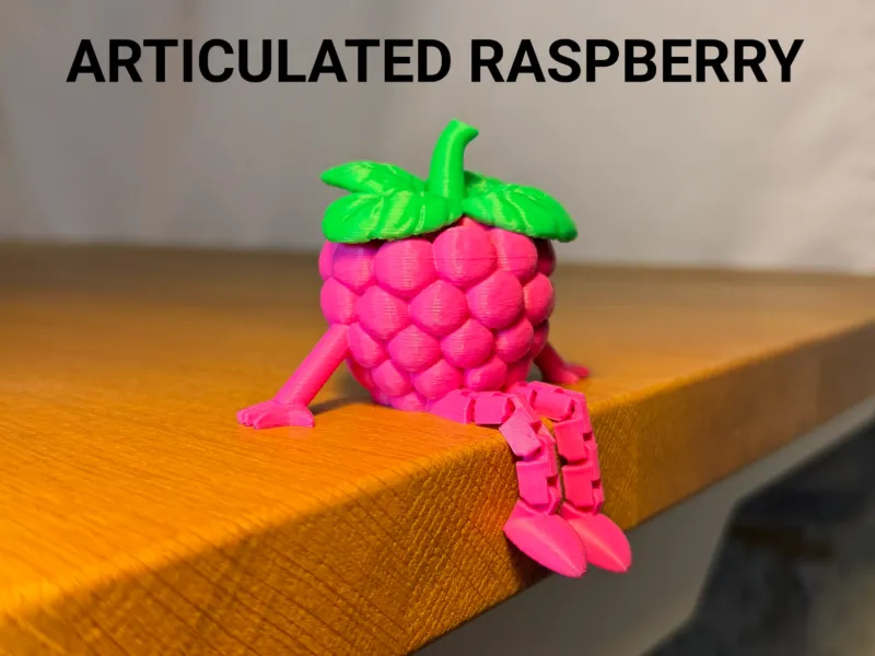 Articulated Raspberry Buddy