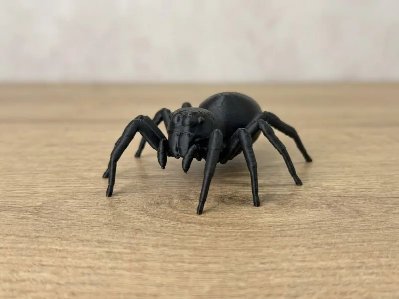 La araña más realista – Araña saltarina