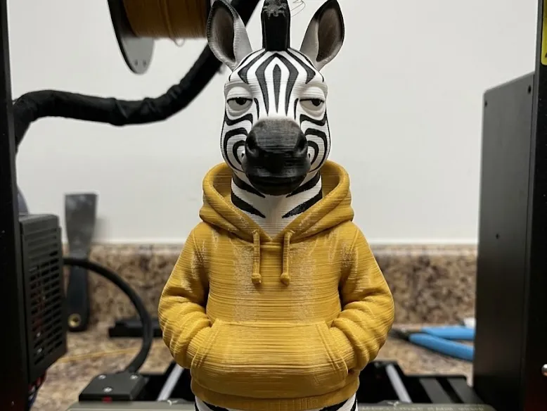 Zebra Bölünmüş