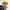 Detective Secretary / PRINT-IN-PLACE WITHOUT SUPPORT /3MF