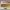 CMYKTestCard