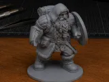 Sword And Shield Dwarf for DnD - Magic Series-0