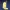 Mr.Clean Trophy Hitman WOA Freelancer