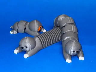 慢悠悠小树懒