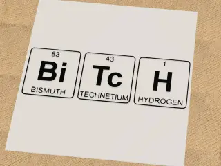 Bitch