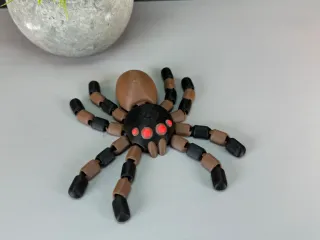 Flexi Spider (Articulated)