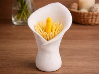 Toothpick organizer 🌺