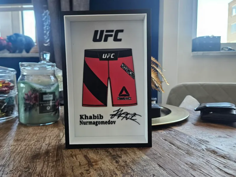 UFC - Khabib Nurmagomedov shorts display