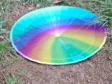 Turtle Bowl-0