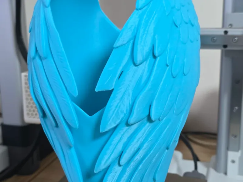 angel winged Vessel