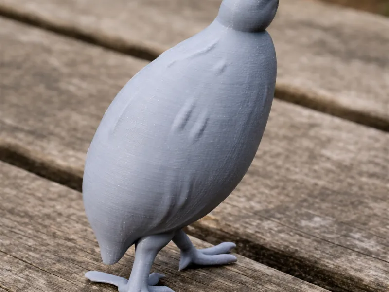 Andean tinamou