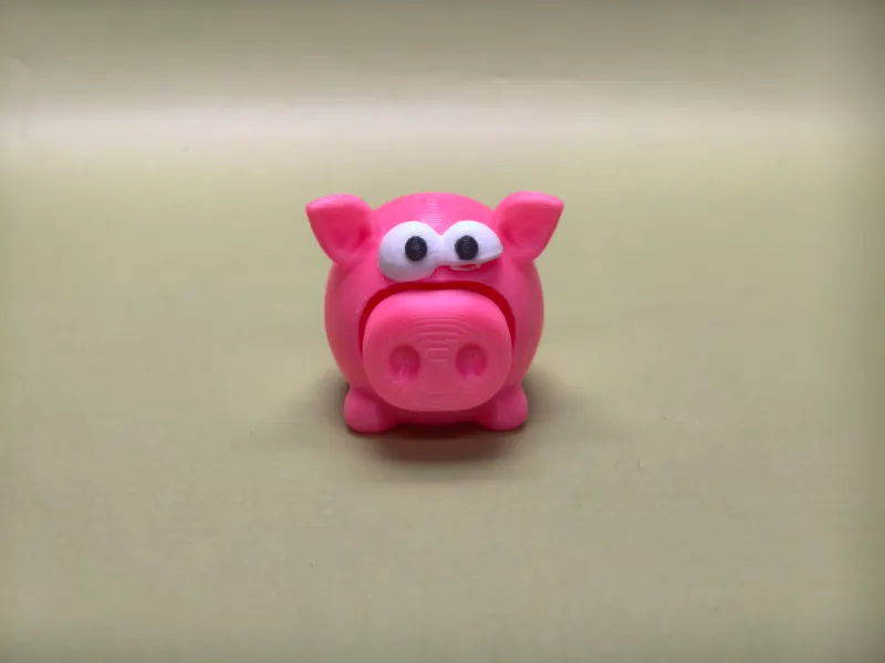Rosa Schwein-Drücker