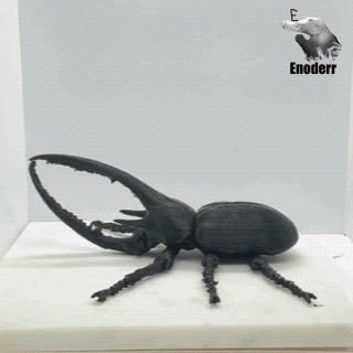 Dynastes neptunus Articulated