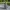 Maya Gnome with Tankard – Ancient Civilization
