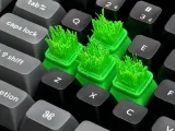 Touch Grass Meme Keycap-0