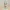 Coral Bikini — Plus Size