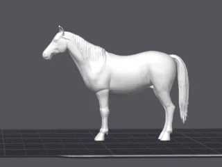 Horse