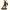 Dahomey_18
