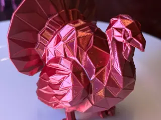 CF Turkey