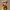 LUCKY LUKE