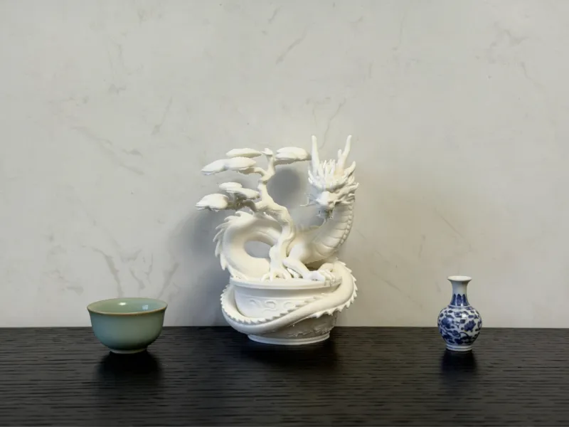 龙盆栽