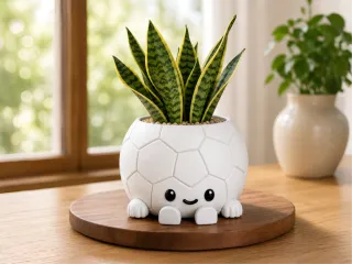 Football Planter Cute