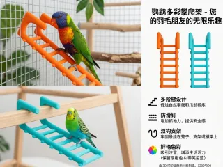 鹦鹉爬楼架