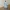 DECO_AUTOMNE_BUTTERNUT_CREAL