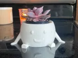 happy booty planter-0