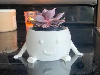 happy booty planter