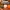 Autumn Pumpkin Decor Set