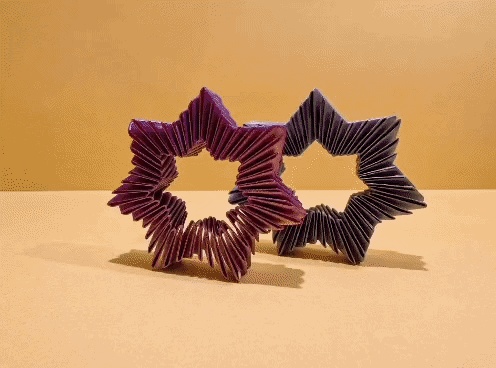 Flexible Squishy Fidget star
