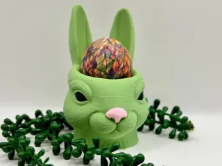 Spring Bunny Holder