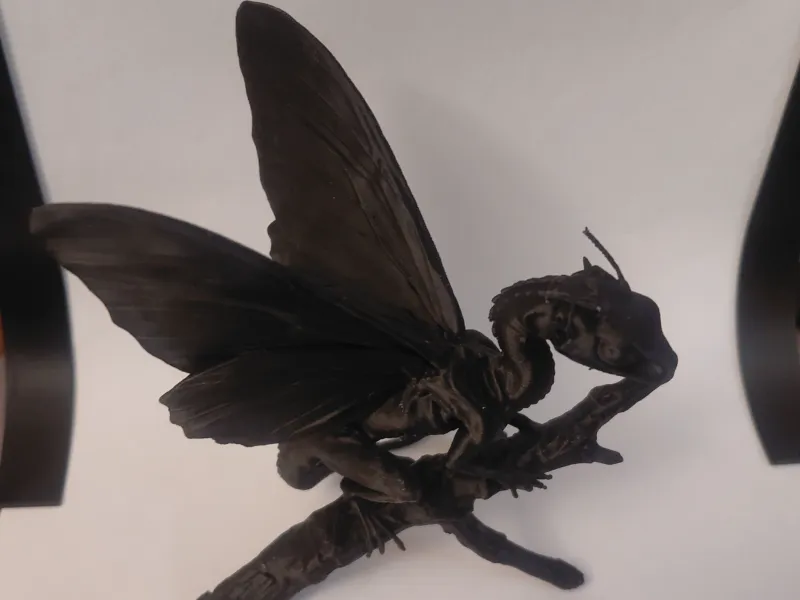 Fae-Drache