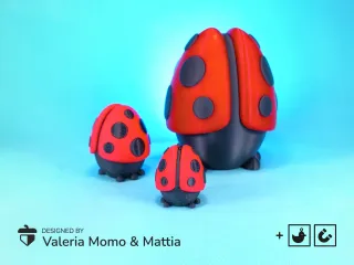 Cute Egg Ladybug Container (Ladybug Diorama)