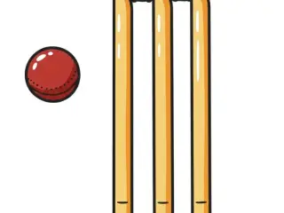 full size wicket set 100% printable