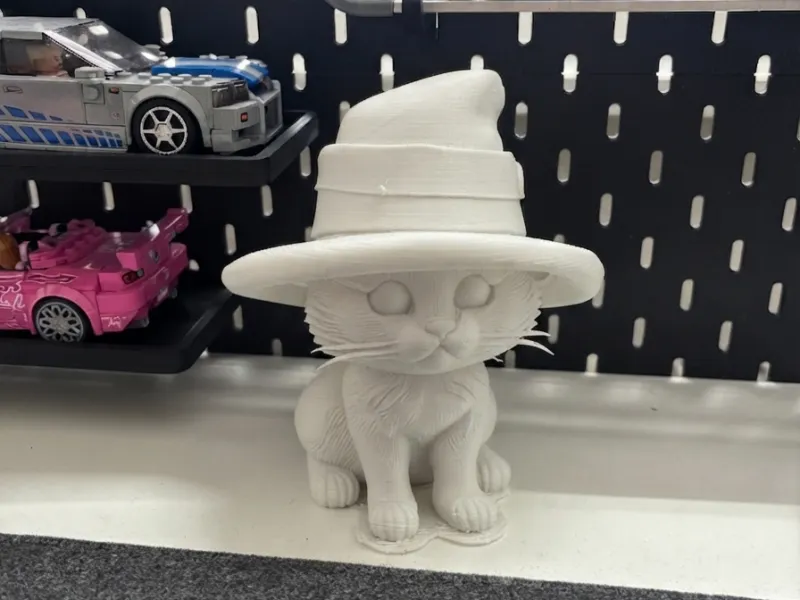 フェドーラ帽をかぶった可愛い子猫 😺🎩