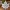Maple Leaf Decoration – Elegant Autumn Table Decor