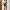 Wall Art Hueforge Chaplin_Front_