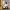 Siamese Cat – Black & White 3D Wall Art