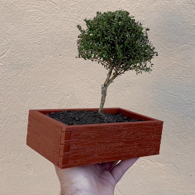 Holzkiste Mittelgroß Groß - Blumentopf mit Schwalbenschwanzverbindung