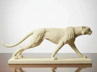 Cheeta