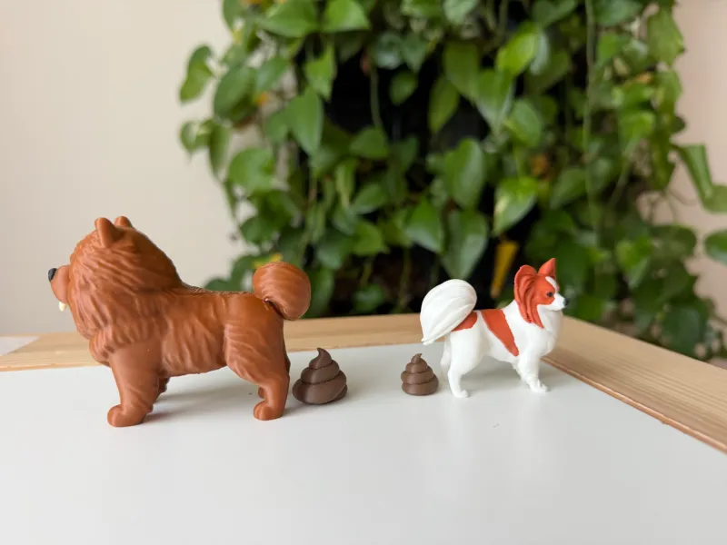 Dog Poo