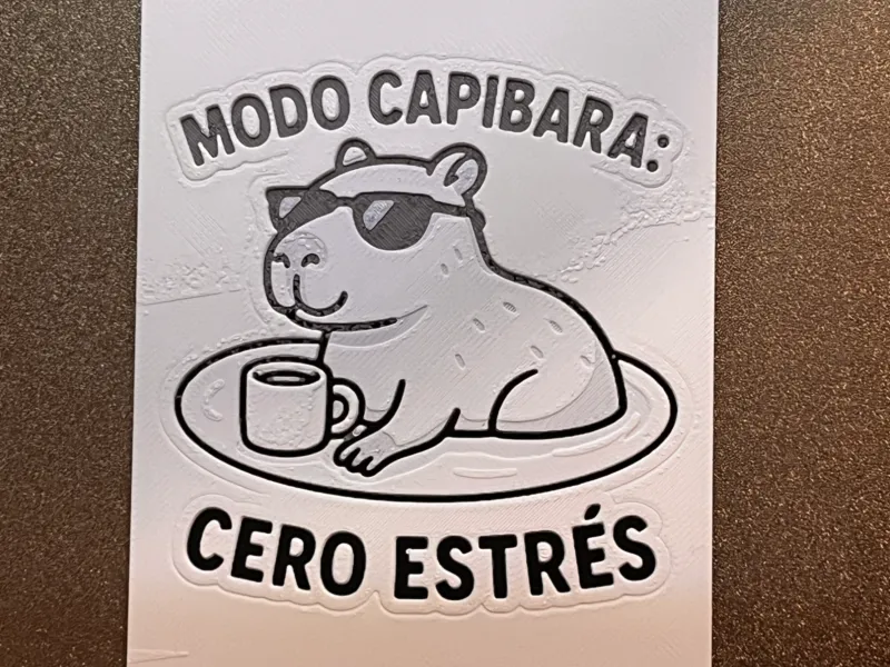 Wall Art Hueforge Capibara_Front_