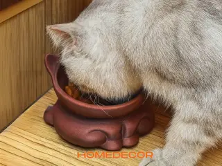 Cat Feeder