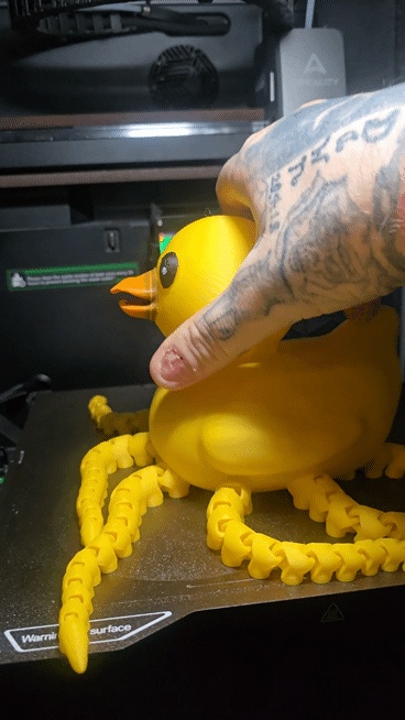 OCTIDUCK CFS