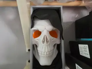 Book holder skull